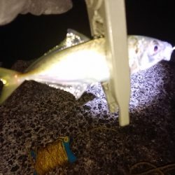 アジゲームでまさかの･・・