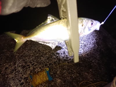 アジゲームでまさかの･・・