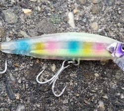 青物狙いでタチウオ釣れた