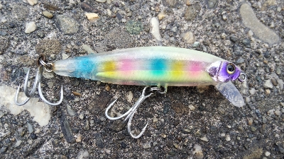 青物狙いでタチウオ釣れた