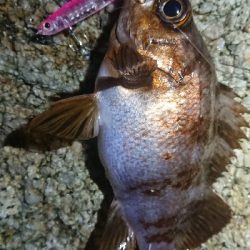 仕事終わりメバリング