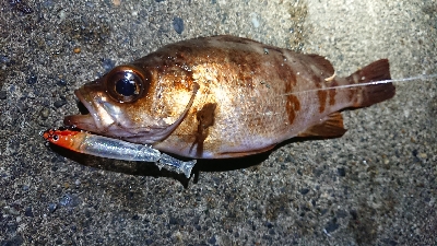 年末天気が荒れる前に
