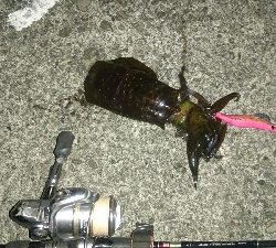 風に負けそうになりながら