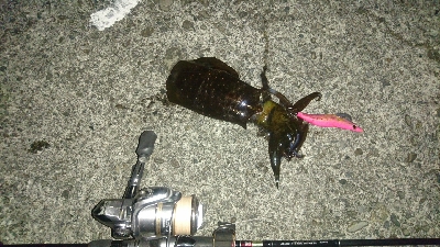 風に負けそうになりながら