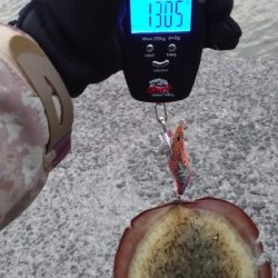 出張でちょいエキング