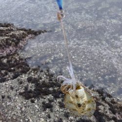 今年の地元最終戦