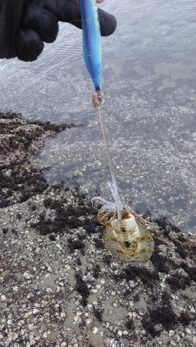 今年の地元最終戦