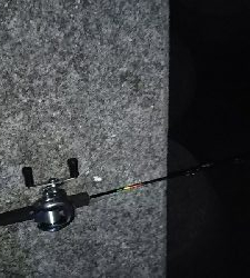 寒くなってきました