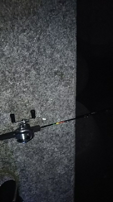 寒くなってきました