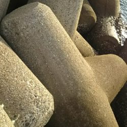 早朝フィッシング