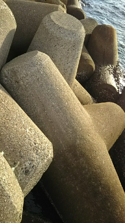 早朝フィッシング