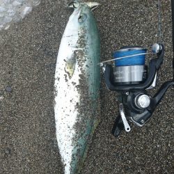 ヤシーパーク西サーフ、ライトショアジギング