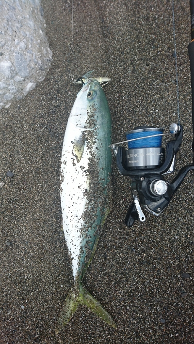 ヤシーパーク西サーフ、ライトショアジギング