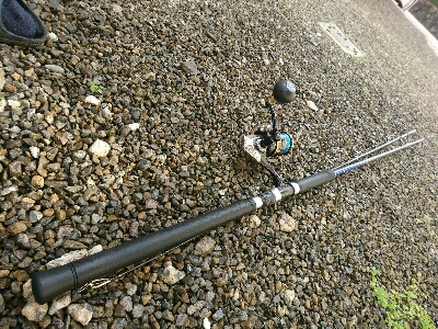 朝マズメのヒラスズキ！！