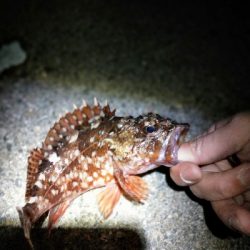 ランガンメバリング