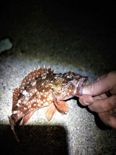 ランガンメバリング