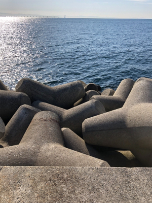 和田防ももう終わり？