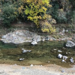 鱒レンジャー nextデビュー