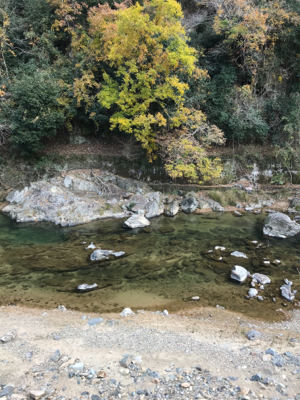 鱒レンジャー nextデビュー