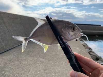 デイフィッシング