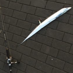 ダブルヘッダー、夕マヅメへ