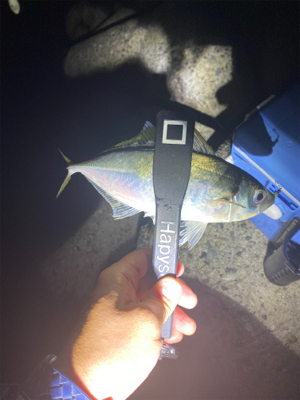 試し釣りでゲット！