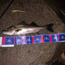 ウェイクベイト大活躍