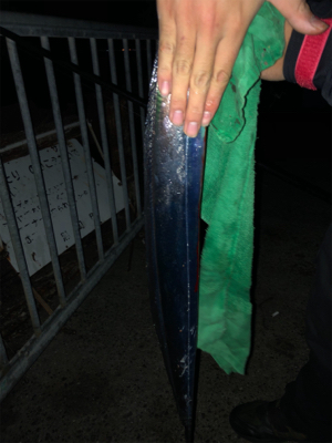 F-4太刀魚　アナゴ　アコウ　アラカブ最高…