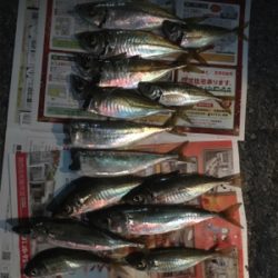 やっと良型釣れた