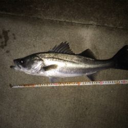 まだまだいける!