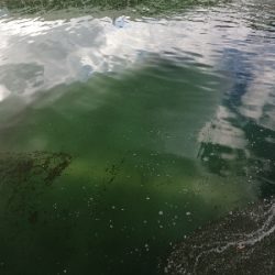 岸和田フィッシングパーク