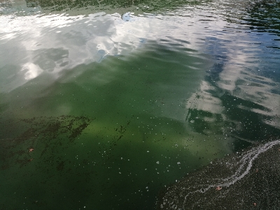 岸和田フィッシングパーク