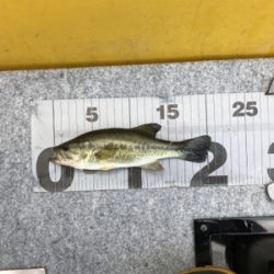 午前中ボート釣行!