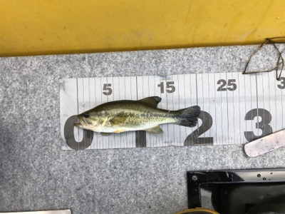 午前中ボート釣行!