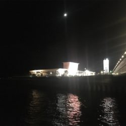 まだアジは釣れた