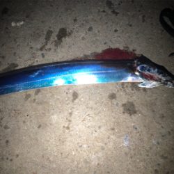 たまには大阪エリアで…。