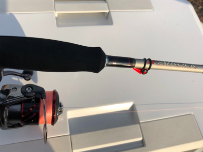 癒し系始まりました