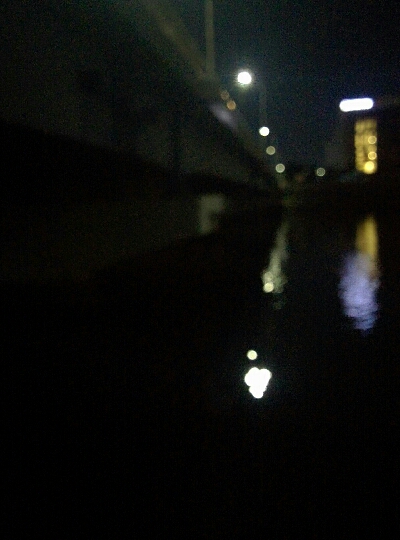 秋の太シーバス