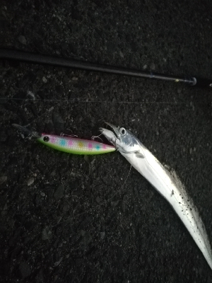 セットアッパー