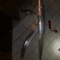 久しぶりに爆釣