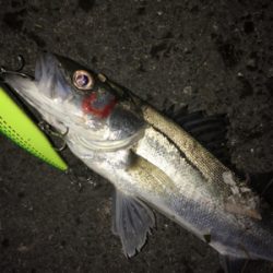 いつもと違う場所で