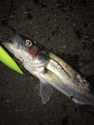 いつもと違う場所で