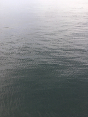 今朝は朝マヅメ太刀魚時合無く。。。