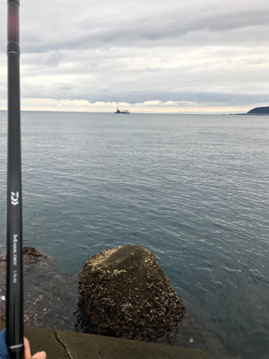 室戸白灯台にてグレ