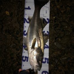 少ないチャンスをものに