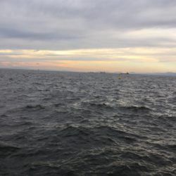 初ポイント。南港→海釣り公園。