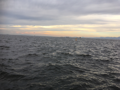 初ポイント。南港→海釣り公園。