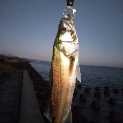 朝まづめにワームで