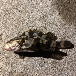 今週も来ました❗️