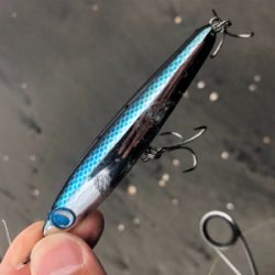 ヒラメ45センチ